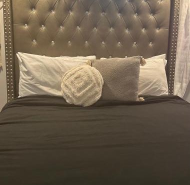 Sunny Girasol Garden