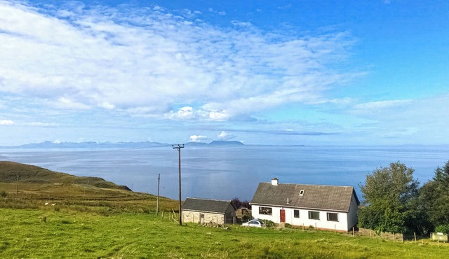 Sunny Hill - UKC6884