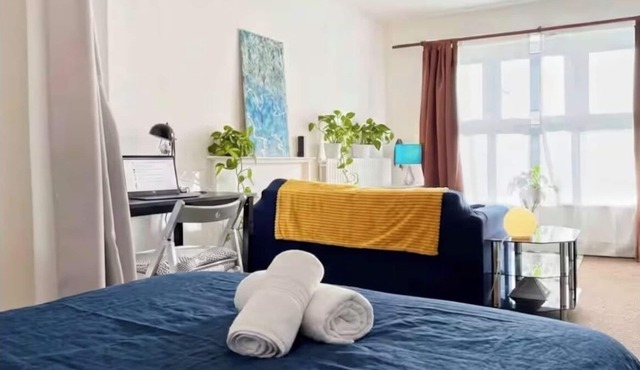 Sunny Large Studio Next to Clapham, 2 mins walk from Stockwell Station