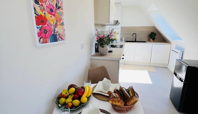 Sunny Loft Apartment Near Basel – Center/Airport/BaselExpo