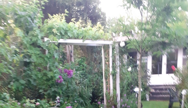 Sunny log cabin set in beautiful peaceful garden . 10mins walk to town and beach