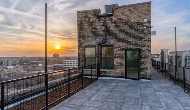 Sunny Modern Loft Montrose Beach Rooftop WFH Gym