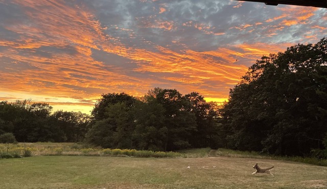 Sunny, peaceful riverfront home with meadows, woods, and gardens