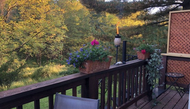 Sunny Peaceful Suburban Washington DC Escape