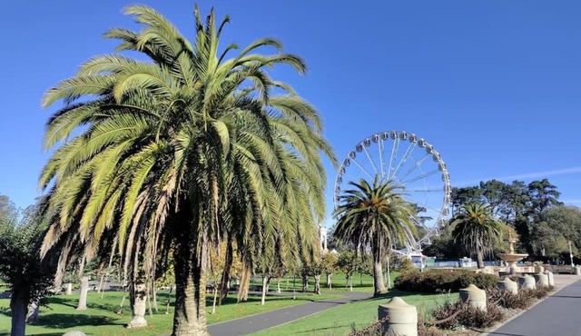 Sunny SF home, quiet, convenient w/parking