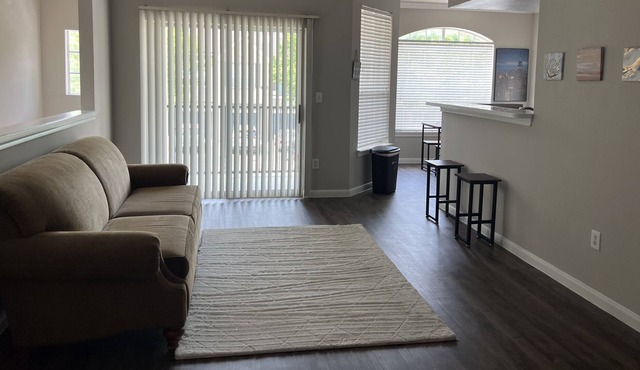 Sunny Southwest Houston Paradise