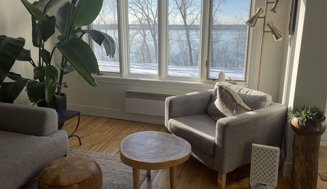 Sunny, spacious riverside condo
