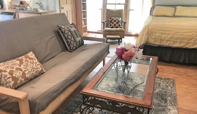 Sunny studio apartment close to downtown