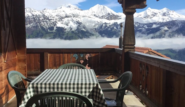 Sunny Studio with great view of Alps