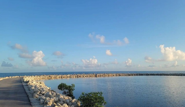 Sunny Tavernier Key Cottage!