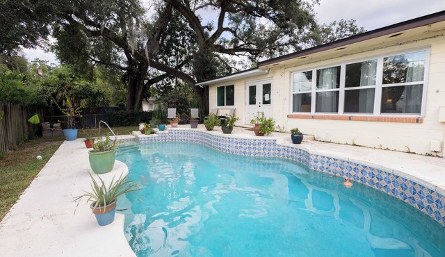 Sunny Terrace Escape - Near USF & Busch Gardens