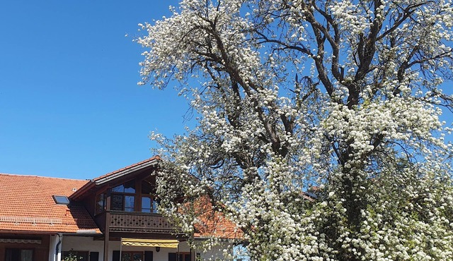 Sunny top-floor apartment with panoramic balcony & mountain views in Greiling
