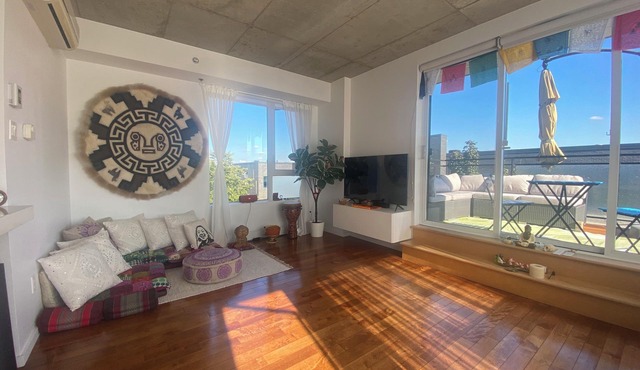 Sunny & Zen Penthouse, Plateau Mt-Royal, indoor parking, elevators