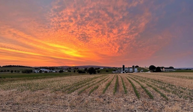 Sunnycrest Guesthouse - Spacious 4-bedroom home, 5 min to Kitchen Kettle Village