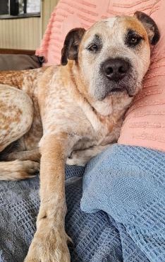 Sunnys Piece Of Paradise