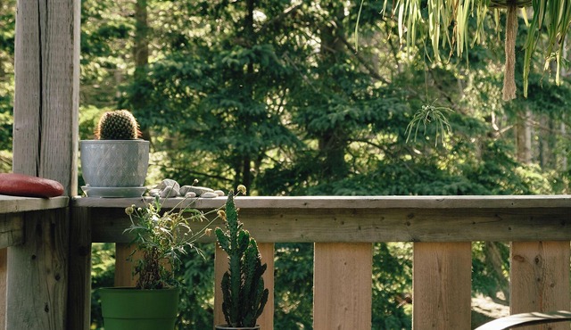 Sunnyside Cabin, 2 Bedroom