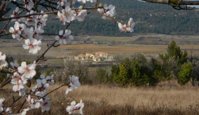 "Sunrise apartment" at La petite Auberge, 1 - 5 p in a haven of peace!