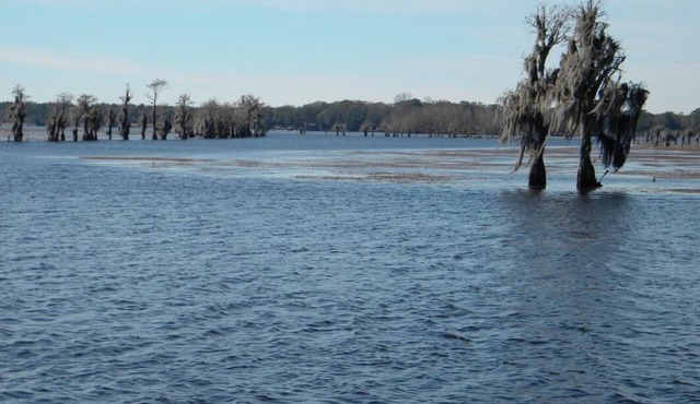 Sunrise Cottage Deer Point Lake