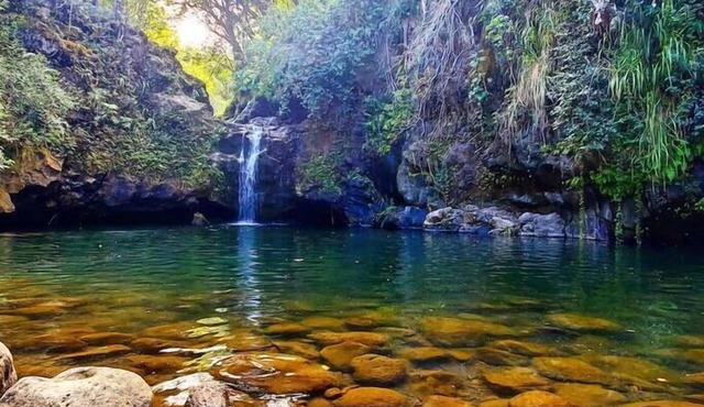 Sunrise Farm Retreat Cabin - Farm Stay Hawaii