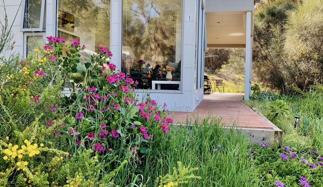 Sunrise On Falie, Kangaroo Island