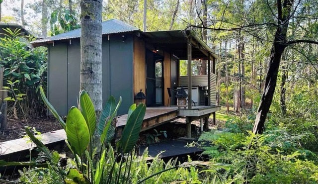 Sunset Cabinn10 years and current SuperHost with Air BNB now available on VRBO.