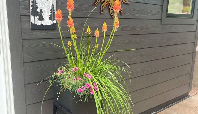 Sunset Cottage on Jimmerson Lake