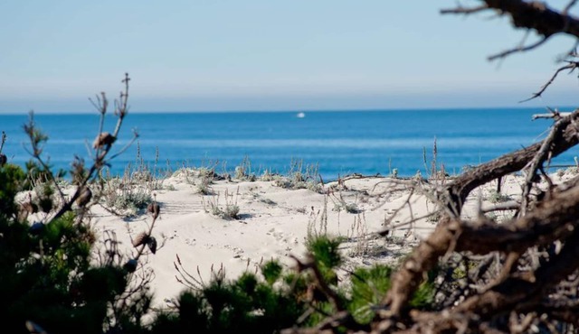 Sunset Drive - Pacific Grove House - Spacious Oceanview, Across the Street from Asilomar Beach