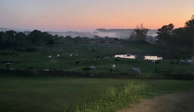 Sunset Farm view Cottage 8 miles to beaches, wineries & Casinos