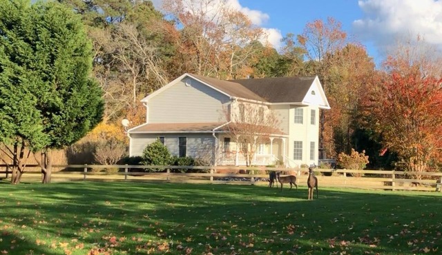 Sunset in Sunnywood: A peaceful retreat with a PRIVATE POOL!