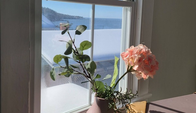 Sunset Oceanfront guest suite + On-site Registered Massage therapy