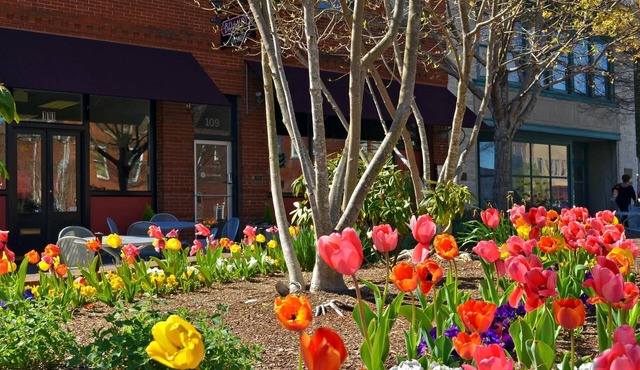 Sunset on the Attic on Main Street. Charming Hendersonville. Walkable. Off street parking