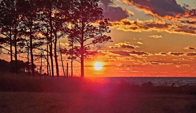 SUNSET POINT FARM - Gracious Country Farm on the Chesapeake Bay - 75 Acres