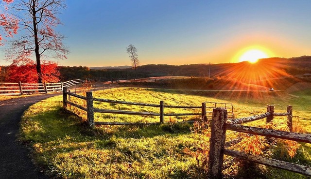 Sunset Ridge 3 rentals on 20 acres views & firepit