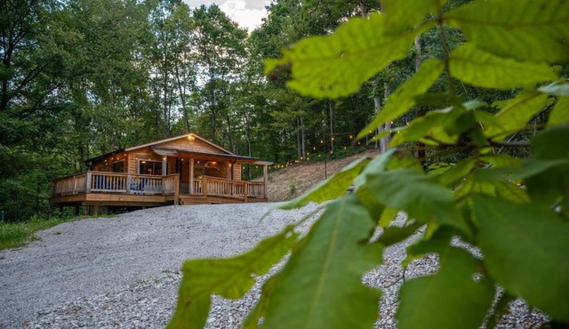 Sunset Ridge ~ Rustic & Tranquil 100-Acre Getaway!