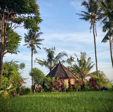 Sunset Sala's Sekumpul Gazebo- Unique Immersive 360 experience