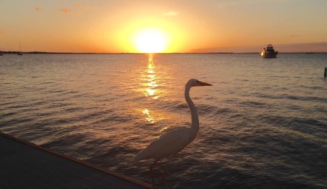 Sunset Serenity at Moon Bay! Amazing Waterfront condo with Spectacular Sunsets!