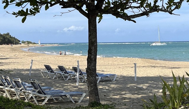 Sunset Shores Haven. This beautiful fully equipped apartment awaits !