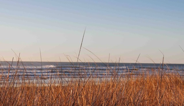 Sunset Shores - Oceanfront Stay