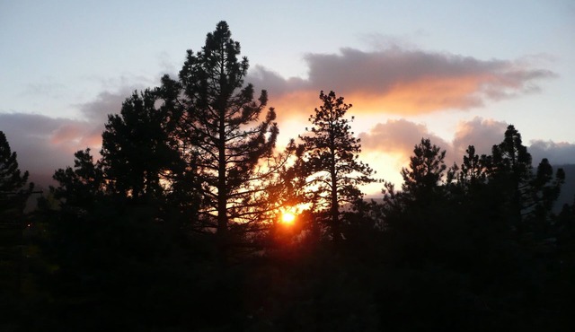 Sunset View at Pine Mountain Club–Stunning Views, Modern Comforts & Dog-Friendly