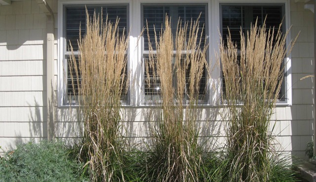 Sunset View Beach Bungalow - Pets Allowed. Amazing covered deck and yard.