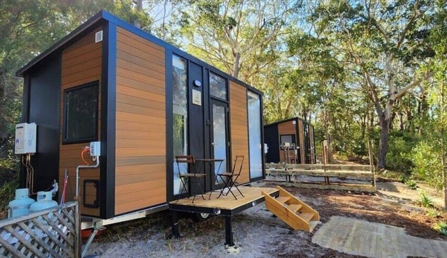 Sunset Vine at Wonganella Estate 2 by Tiny Away