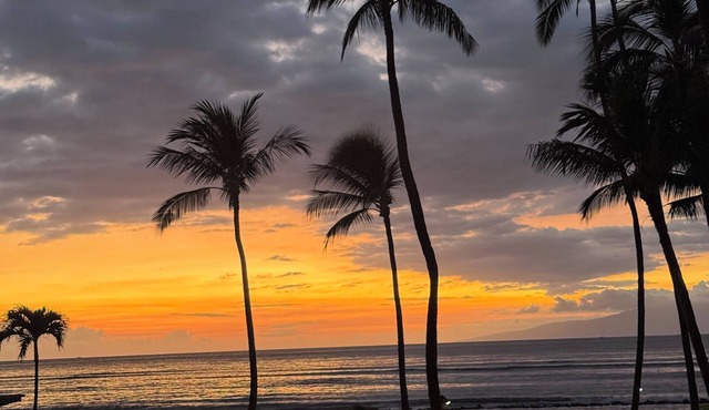 Sunsets from the lanai of 203 embrace you, AC keeps you cool in this 2/2 unit