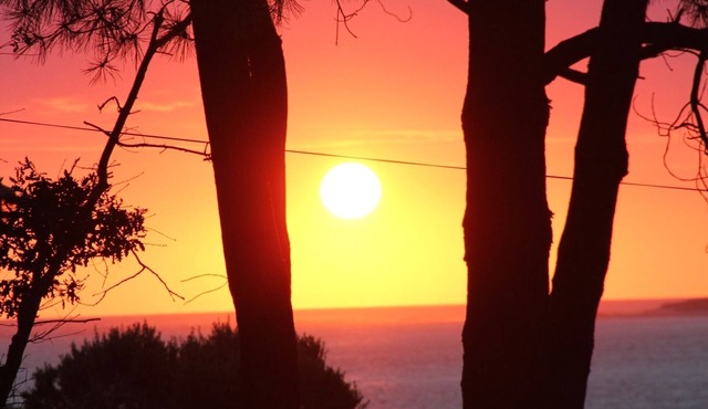 Sunsets guaranteed, magnificent view of the pool and beach at 50 m