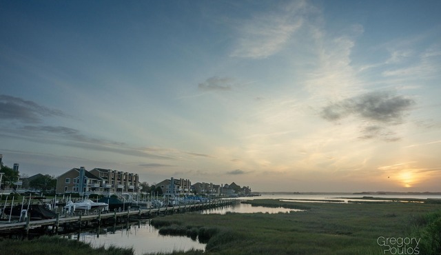 Sunsets, Peace & Quiet, Next to Northside Park, Over 60 5 Star Reviews!