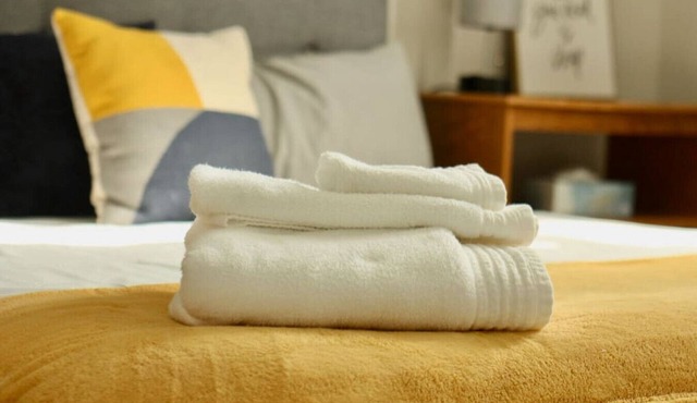 Sunshine BNB in Downtown Cola- walk to 5 Parks!