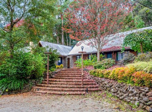 Sunshine Forest Garden