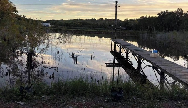 Sunshine Gardens FarmStay