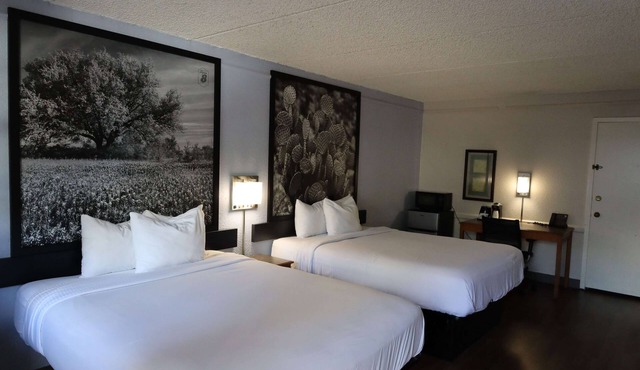 Super 8 by Wyndham Austin South/I-35