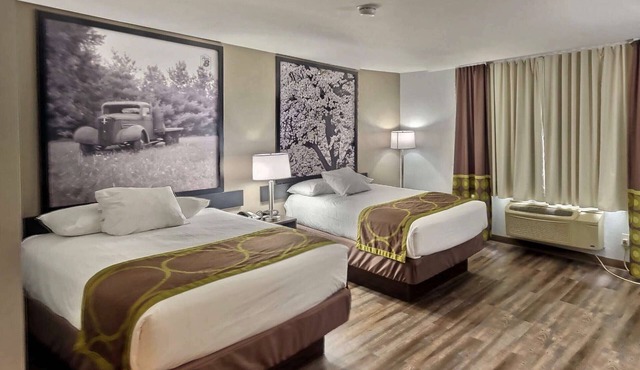 Super 8 by Wyndham Georgetown