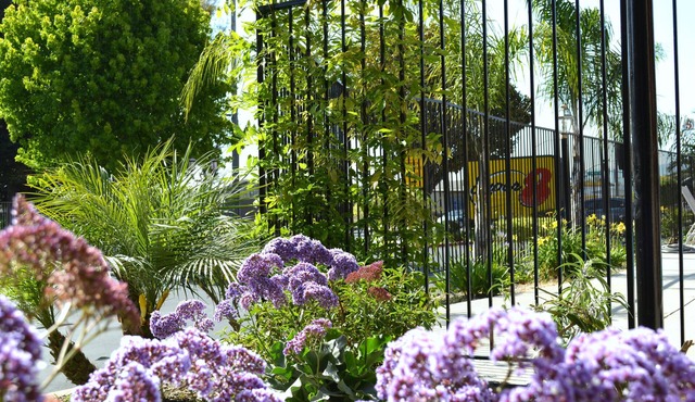 Super 8 by Wyndham Salinas